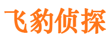 屏山市侦探调查公司